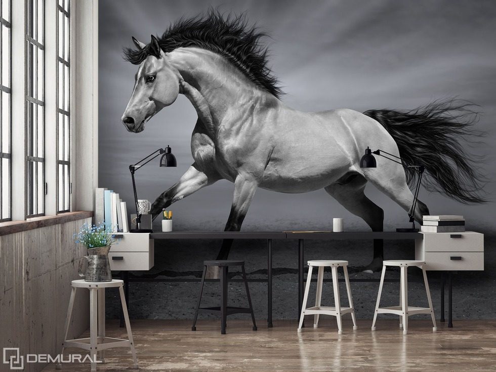 The magic of fauna - The call of the animals Office wallpaper mural Photo wallpapers Demural