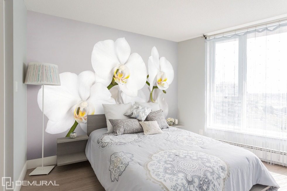 Whiteness and a juicy orchid Flowers wallpaper mural Photo wallpapers Demural