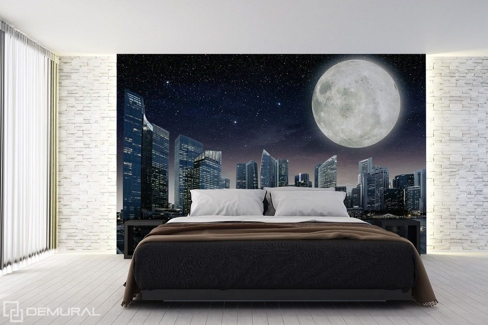 The night of full moon Cosmos wallpaper mural Photo wallpapers Demural