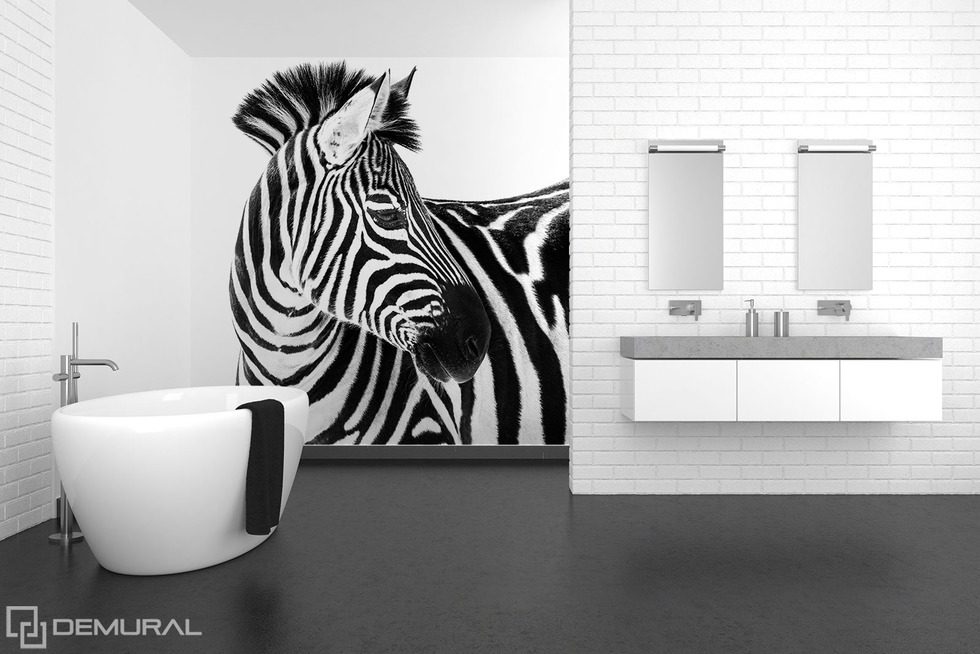Beauty in stripes Animals wallpaper mural Photo wallpapers Demural