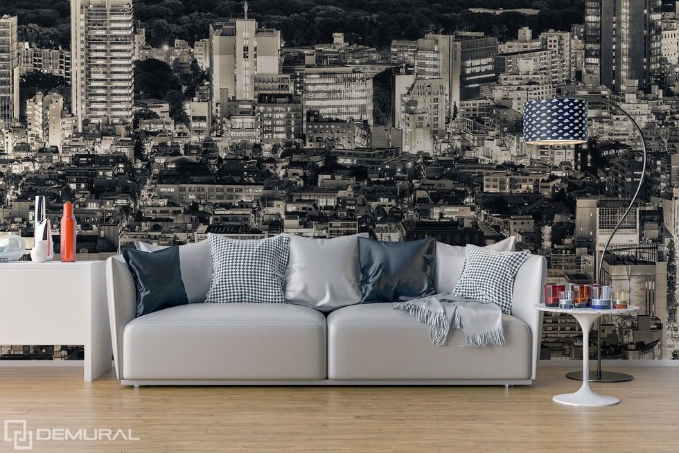 In the embrace of a big city Cities wallpaper mural Photo wallpapers Demural