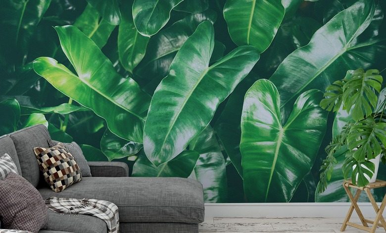 or maybe green patterns wallpaper mural photo wallpapers demural