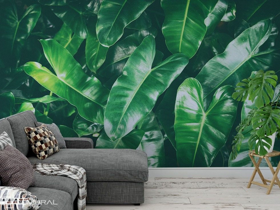 Or maybe green? Patterns wallpaper mural Photo wallpapers Demural