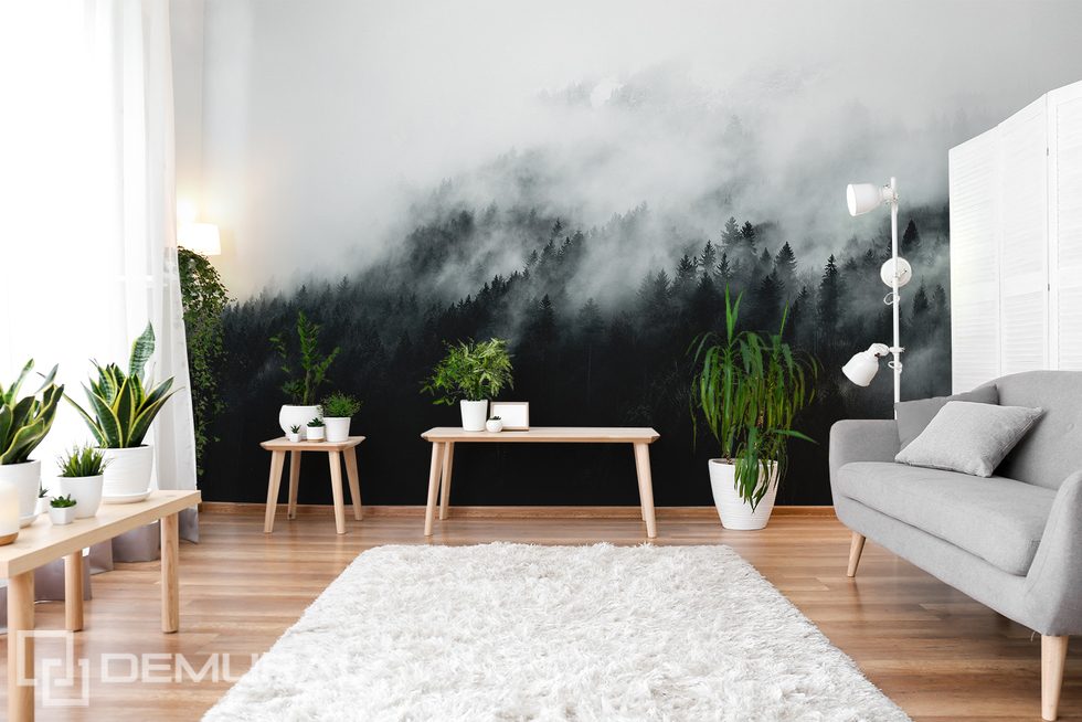 The mysterious fog dispels the boredom of the ethereal interior Landscapes wallpaper mural Photo wallpapers Demural