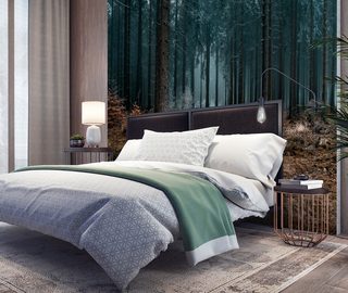 a good nights sleep in the dark forest forest wallpaper mural photo wallpapers demural