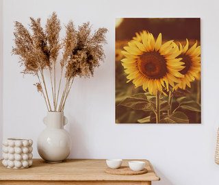 so much sunshine across the room canvas prints flowers canvas prints demural