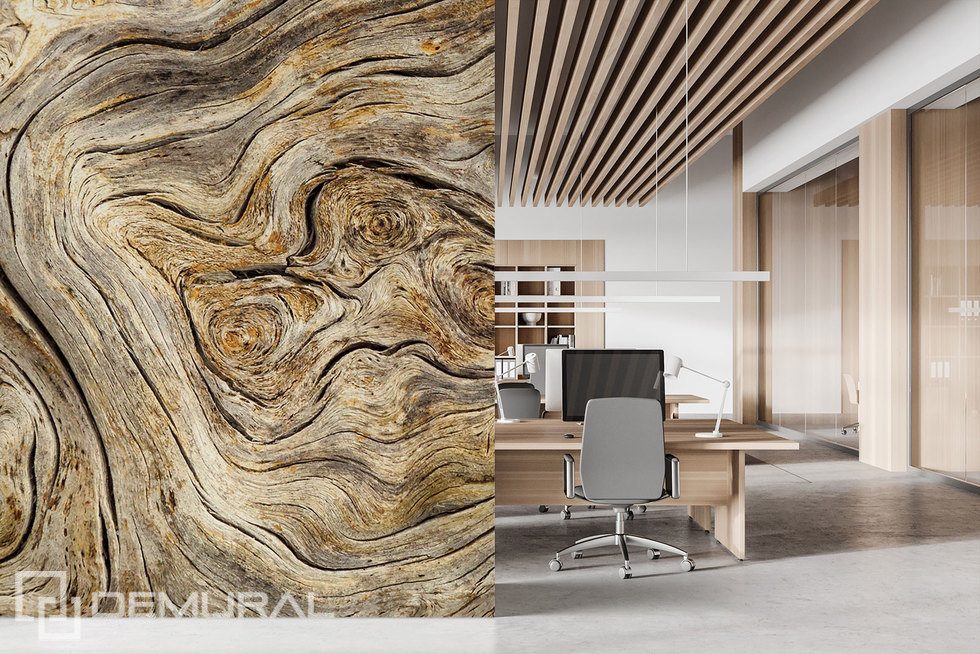 Amazing structure of old wood Office wallpaper mural Photo wallpapers Demural